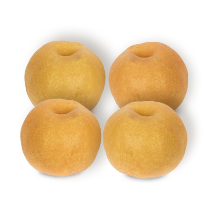 배(동부권용 430g내외*4입 1.72Kg/EA)/국내산