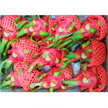 용과(9~10입 5Kg/BOX)/베트남산