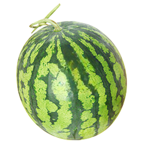 수박(상품 5Kg/EA)/국내산