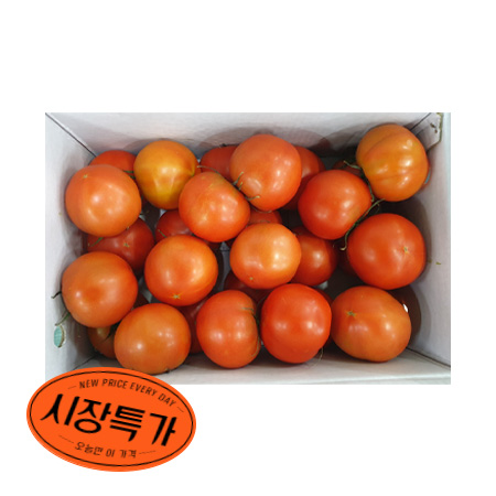 ★매일시장특가★ 토마토 (완숙_20~25과 5Kg/BOX)/국내산 초특가 과일