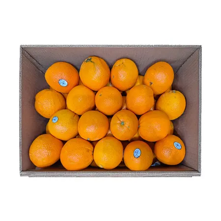 ★매일시장특가★  오렌지 (72과 생과용 17Kg/BOX) 초특가 과일 이미지