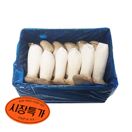 ★시장특가★ 새송이버섯 2Kg/BOX