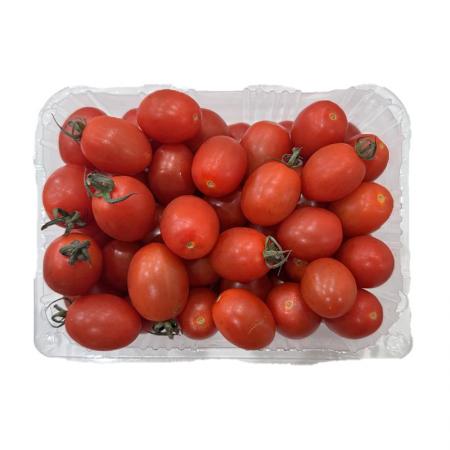 대추방울토마토(3번과 500g/EA)/국내산