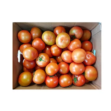 토마토(동부권용 완숙_15~20입 5Kg/BOX)/국내산