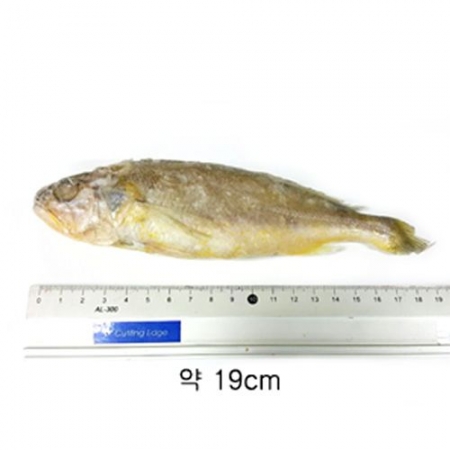 조기(무염_90~110g/마리 100g/EA)/중국산