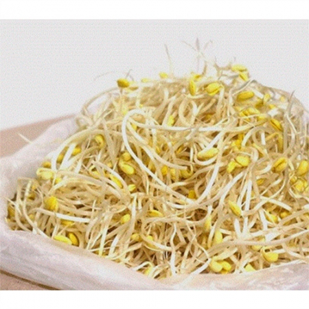 콩나물(세척_곱슬이_단채 반찬용 2Kg/EA)