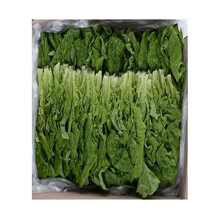 ★매일시장특가★ 청상추 2kg 국내산 (2Kg/BOX)