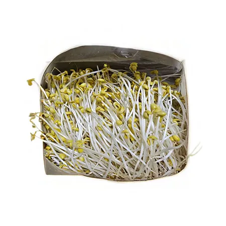 두레박 콩나물(KG)