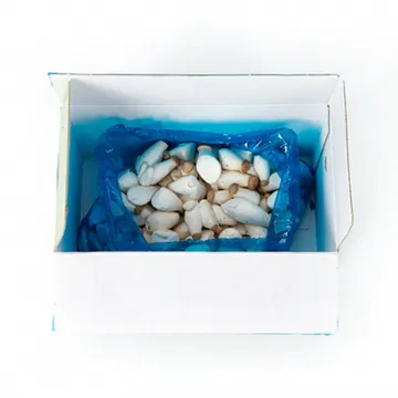 총알새송이버섯(상품 2Kg/EA)/국내산