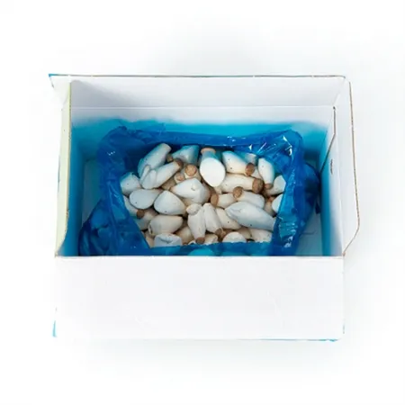 총알새송이버섯(상품 2Kg/EA)/국내산