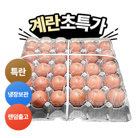 ★초특가★ 두원 계란(특란_60g*30입 1.8Kg/EA)/국내산
