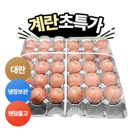 ★초특가★ 두원 계란(대란_52g*30입 1.56Kg/EA)/국내산