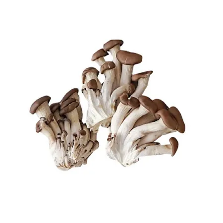 애느타리버섯(상품 1Kg/EA)