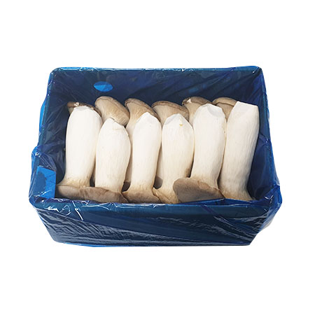 ★매일시장특가★ 새송이버섯(2Kg/BOX)