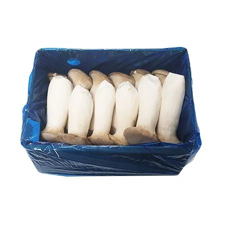 ★매일시장특가★ 새송이버섯(2Kg/BOX)