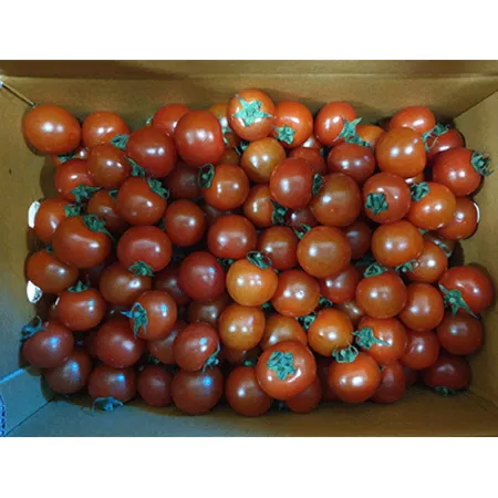 방울토마토(15~20g/개 5Kg/BOX)/국내산