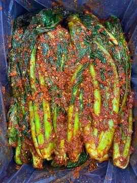돌산갓김치 10kg 업소용 대용량