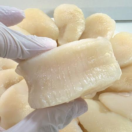 키조개 관자 10kg (21/25) 프리미엄 자연산 냉동 바른유통
