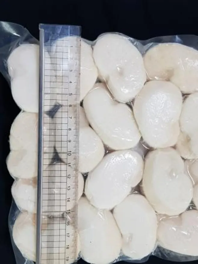 키조개관자 횟감용 10Kg 자연산관자 1박스 11/15 도매 업소용 바른유통 이미지