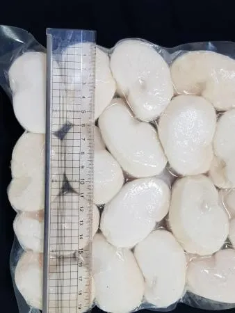 키조개관자 횟감용 10Kg 자연산관자 1박스 11/15 도매 업소용 바른유통 이미지