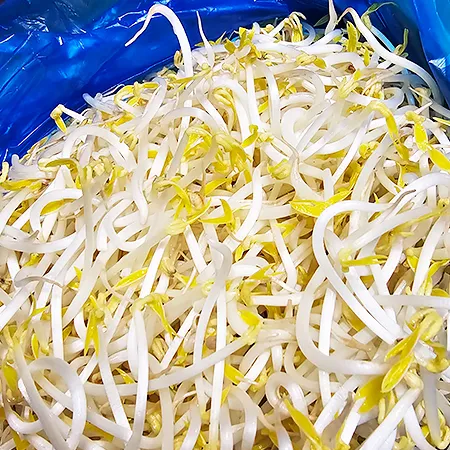 (야채) 숙주 BOX(3.5kg)