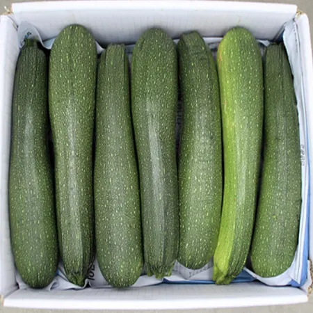 (야채) 쥬키니호박 (국산) BOX(20개) 이미지