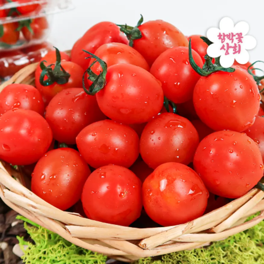 스테비아 대추방울토마토 1kg (500g*2팩) 이미지