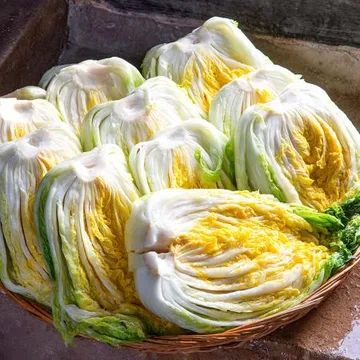 25년 국내산 절임배추 10kg