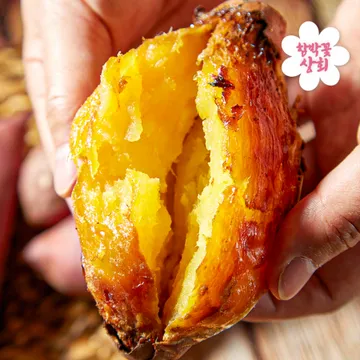 해남꿀고구마 10kg 한입사이즈 무농약세척