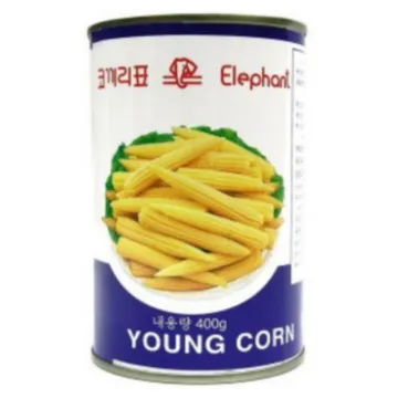 영콘 400G 명진