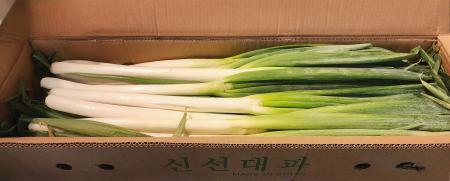 ★신규상품/최저가★ 깐대파(수입산 10Kg/BOX) 박스출고, 대파 - 최저가 사업자 식자재 | 식봄