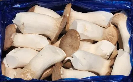 새송이버섯(특품, 뿌리없음, 2kg)박스 국내산