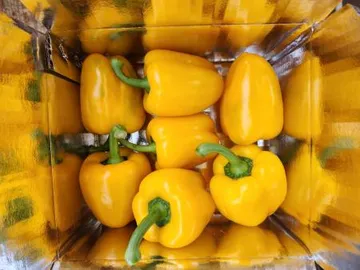 파프리카 노랑 (1kg) 소분상품 국내산