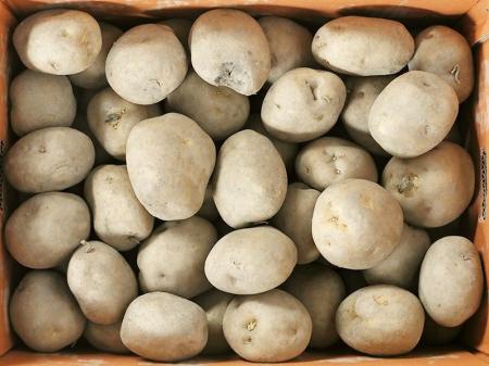 감자(특)10kg/box/국내산