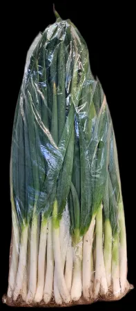 ❤️ 대파, 관파(4KG내외, 4단, 국내산)1팩, 소분상품