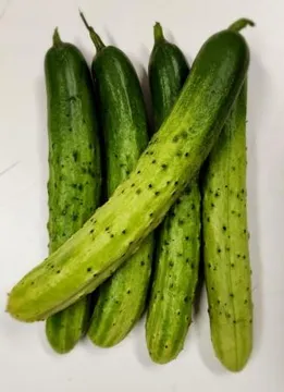 백오이(상품, 5개)1팩, 소분상품 국내산, 다다기오이