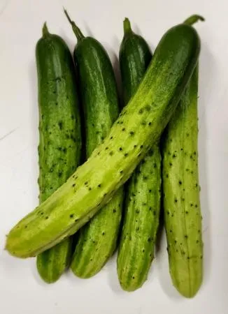 백오이(상품, 5개)1팩, 소분상품 국내산, 다다기오이