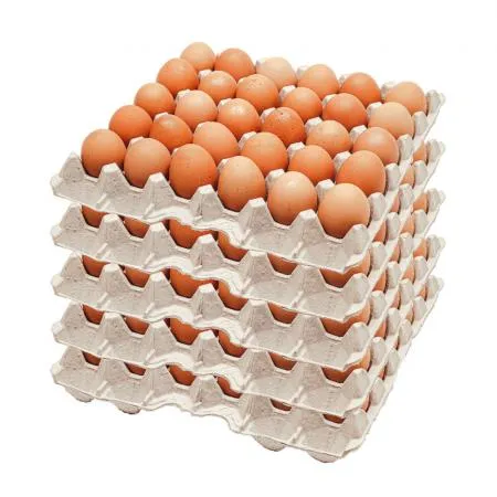 ▶왕란◀ 30알 5판 묶음 달걀, 계란 이미지