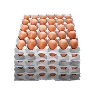 ▶특란◀ 30알 5판 묶음 달걀, 계란