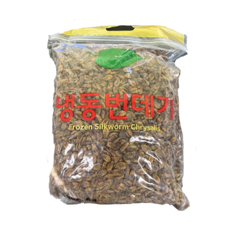 냉동 번데기 4kg 이미지