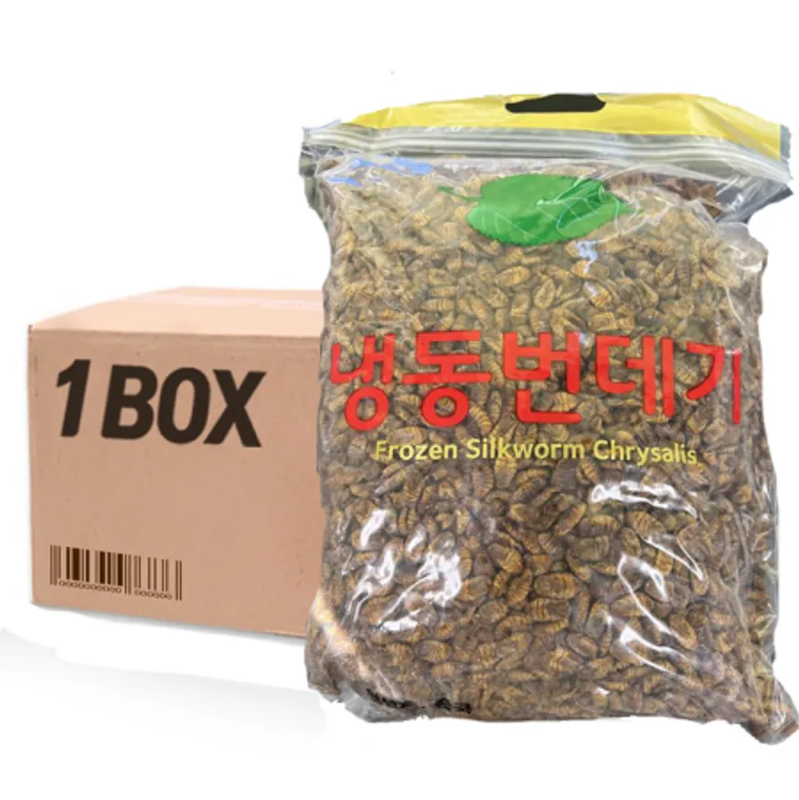 냉동 번데기 16kg 1박스 이미지