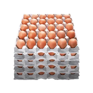 ▶중란◀ 30알 5판 묶음 달걀, 계란