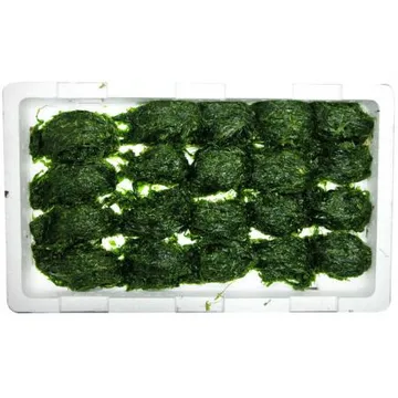 물파래 2판 국내산