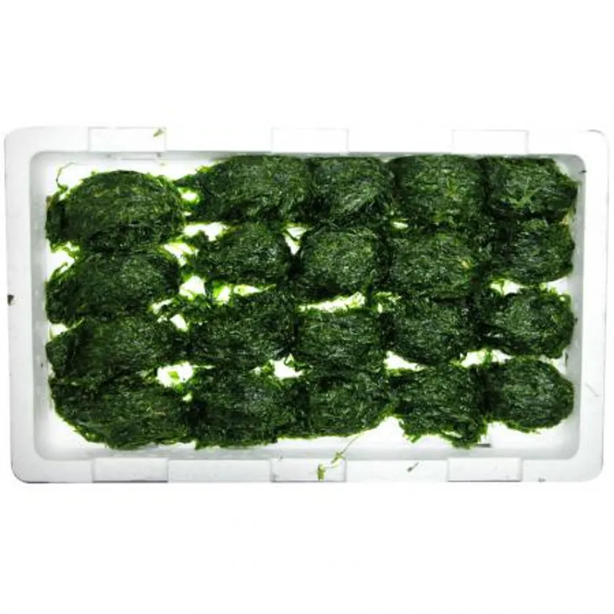 물파래 2판 국내산 이미지