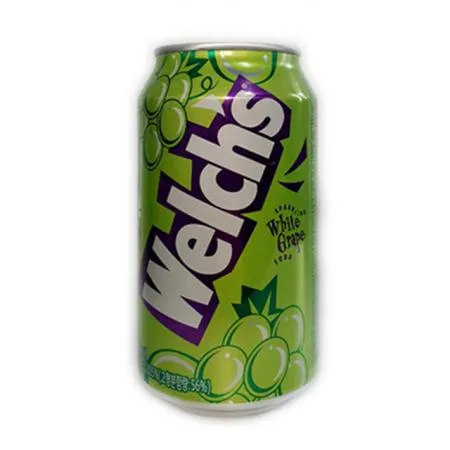 웰치스 청포도 355ml x 24개