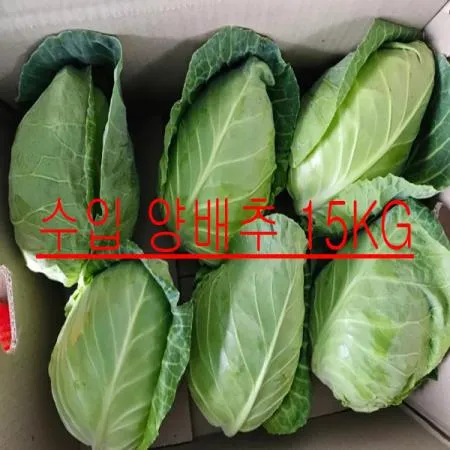 품질보장/수입 양배추 15kg 식자재 중국산/무료배송