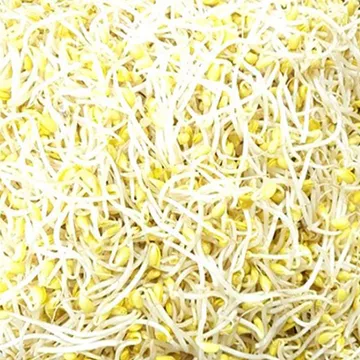 매일시장방문/곱슬이 콩나물 3.5kg