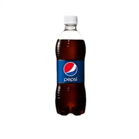 펩시콜라 500ml x 20개/업소용