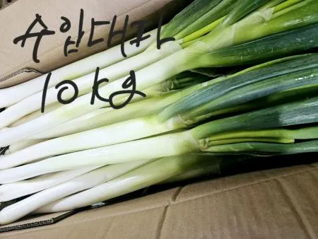 품질보장/프리미엄 수입 손질 깐 대파 업소용 식자재용 중국산 10kg/수입대파/무료배송