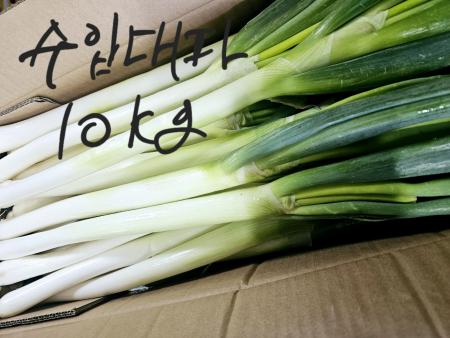 품질보장/프리미엄 수입 손질 깐 대파 업소용 식자재용 중국산 10kg/수입대파/무료배송